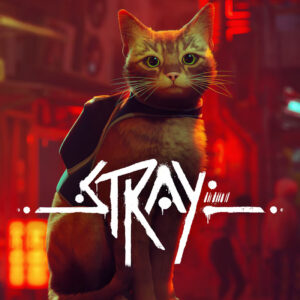 Stray (Nintendo) (б.у.)