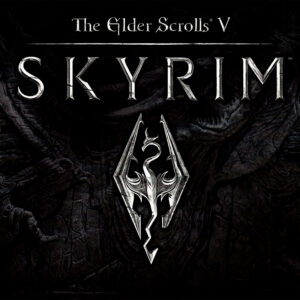 The Elder Scrolls 5 Skyrim (Nintendo) (б.у.)