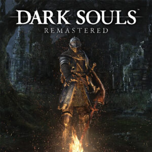 DARK SOULS: REMASTERED (Nintendo) (б.у.)